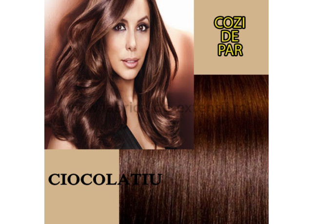 Cozi de Par cu Dubla Intrebuintare Ciocolatiu Cozi de Par cu Dubla Intrebuintare Ciocolatiu
